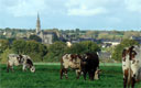 Vue sur la cour intérieure depuis le cloître