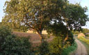 Balade dans la campagne