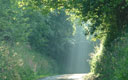 Lumière du matin sur la petite route