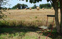 Détente au bord du champ