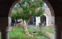 Le cloître en automne